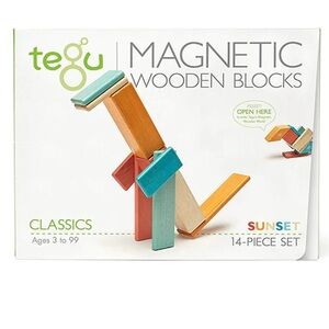 Tegu Magnetic Wooden Blocks - 14-Piece Set -